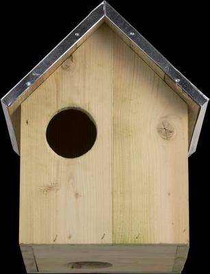 Casa Nido de Ardilla